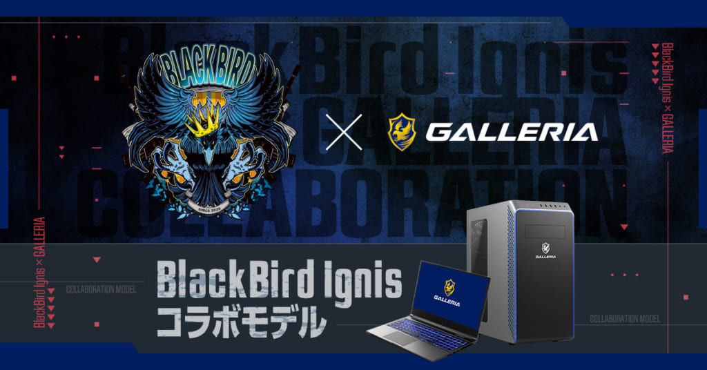 ゲーミングPC『GALLERIA』にVALORANTプロチーム『BlackBird Ignis』コラボモデルが登場 – Negitaku.org  esports